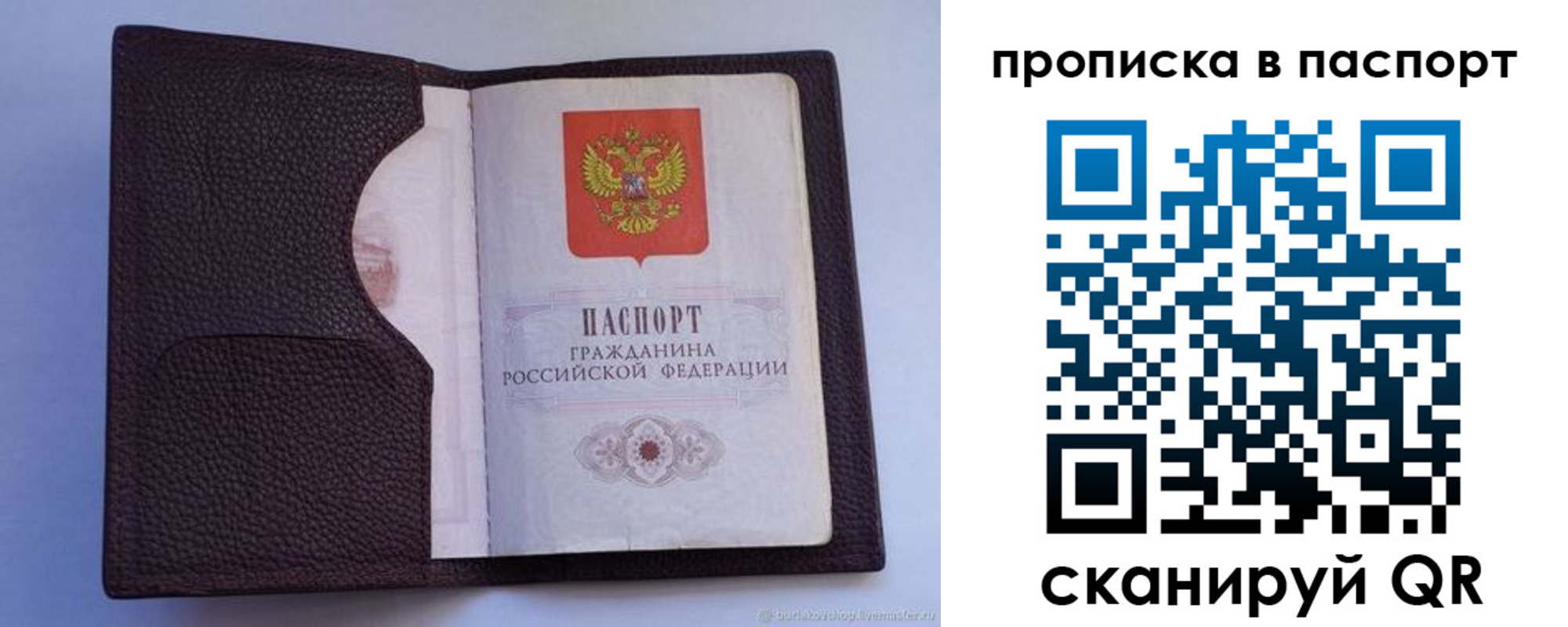 прописка законно в Ардоне